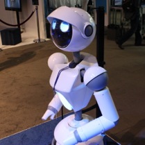 The Technology Showcase's robot