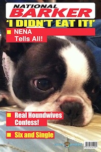 nena magazine cover