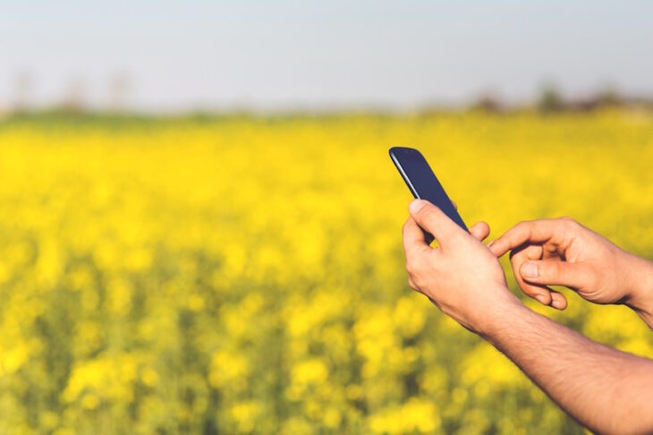 Man with a cellphone in front of a yellow field