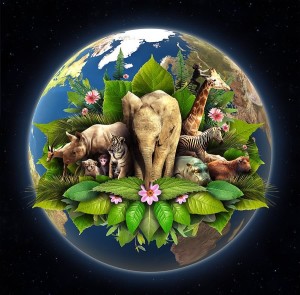 earth day animals