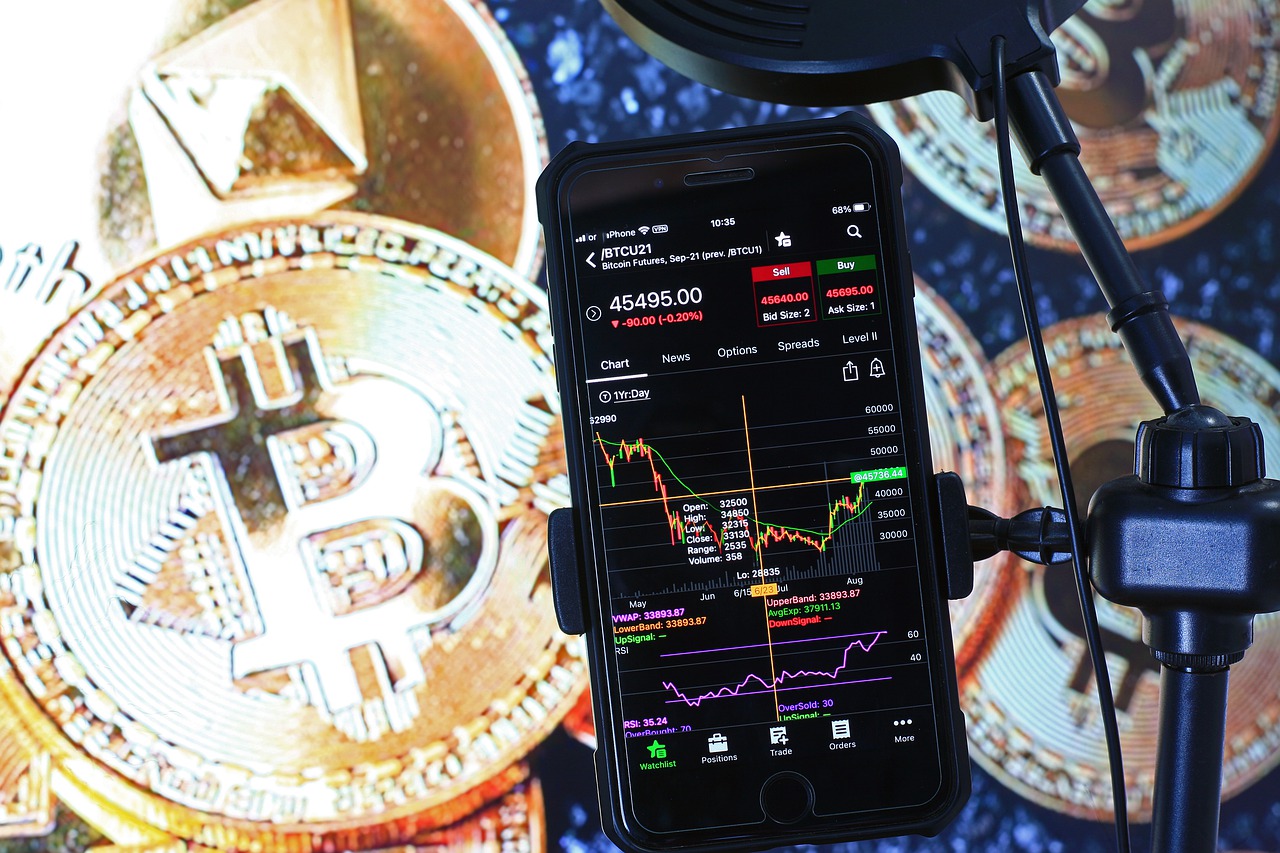 Bitcoin Crypto Stock Chart Trading  - sergeitokmakov / Pixabay