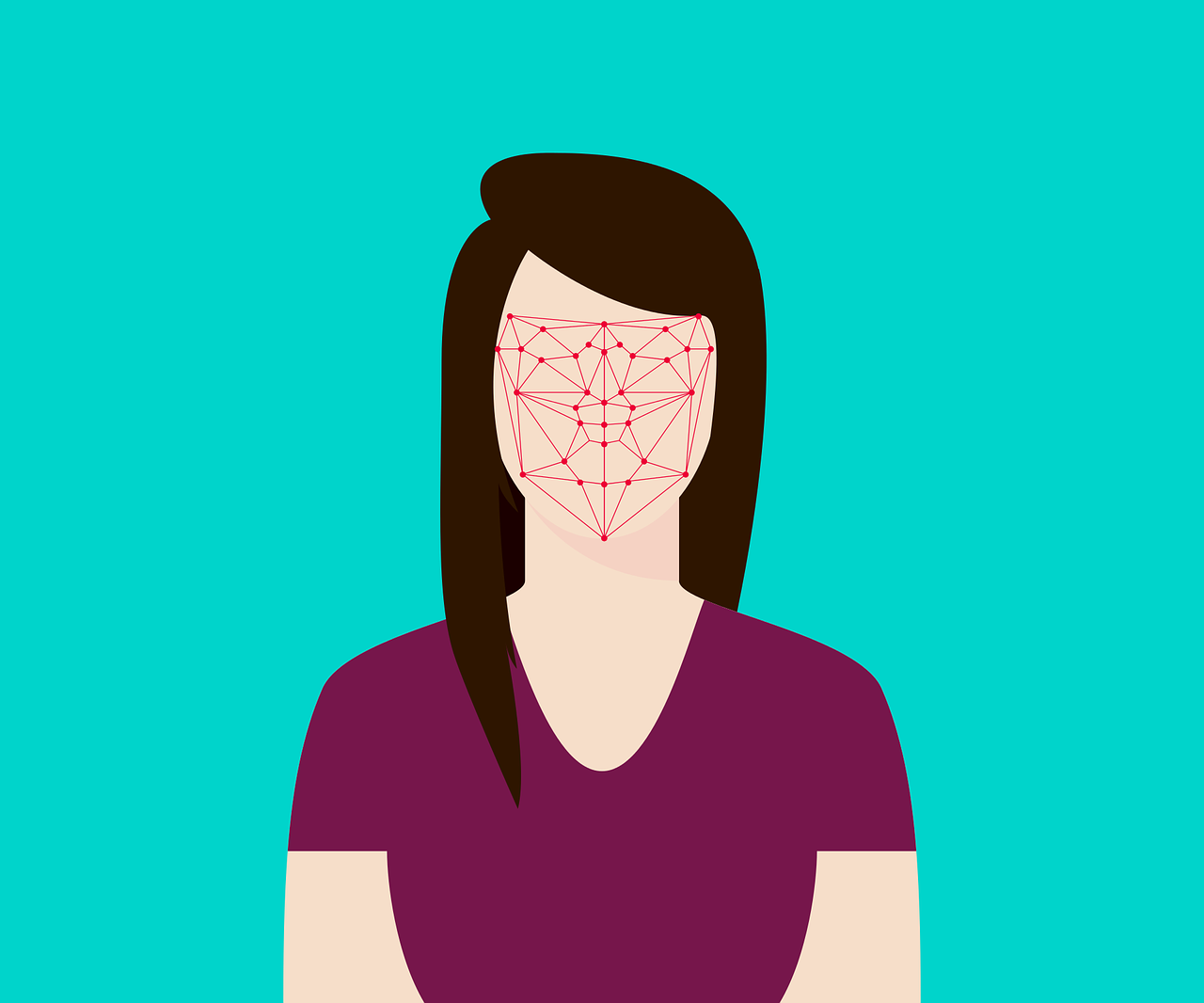 Flat Recognition Facial Face Woman  - teguhjatipras / Pixabay